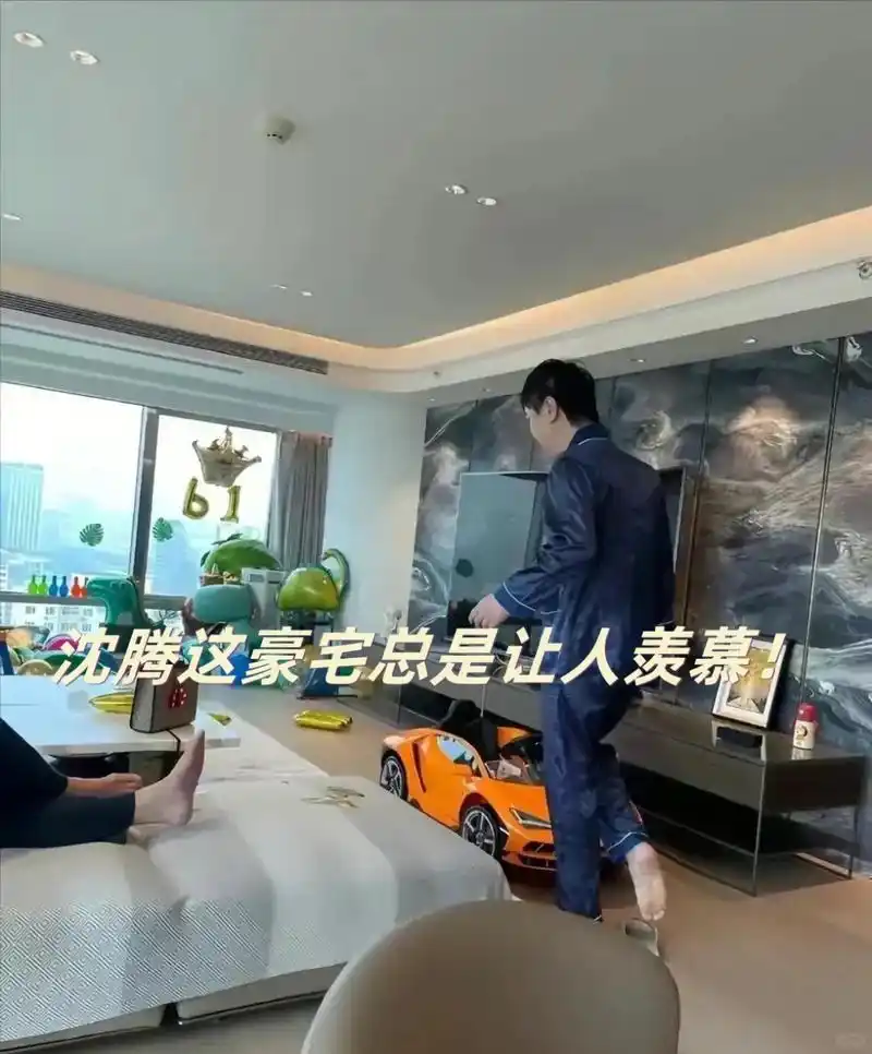 沈腾这豪宅总是让人羡慕!
