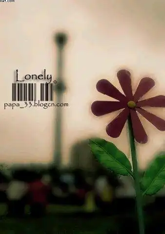 素材,非主流,338x478尺寸壁纸-回车桌面