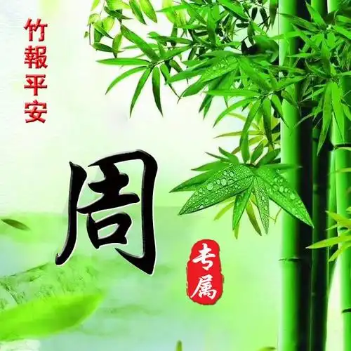 用姓氏来制作微信头像,编号b209,姓氏周