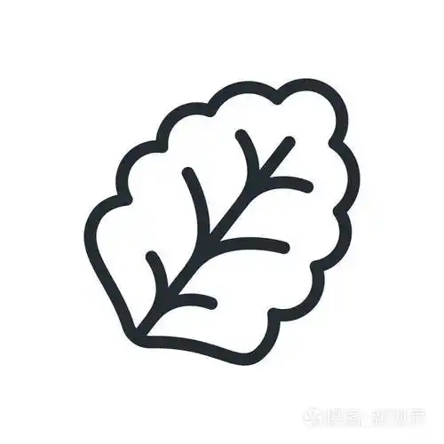 叶生菜植物扁线笔画图标象形文字