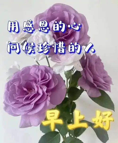 6月14日最新创意好看的朋友圈早安问候祝福图片精选免打字的夏日清晨