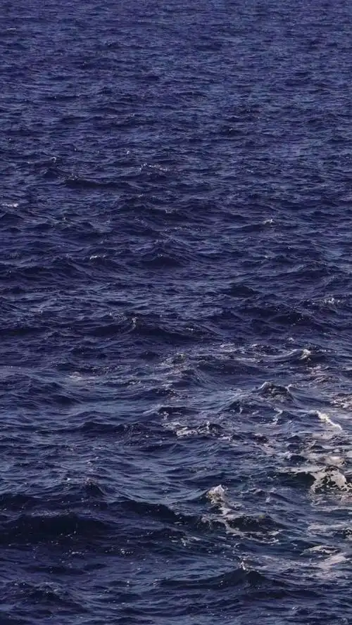 小清新手机壁纸_2453584蔚蓝色的大海小清新手机壁纸高清壁纸,蔚蓝色