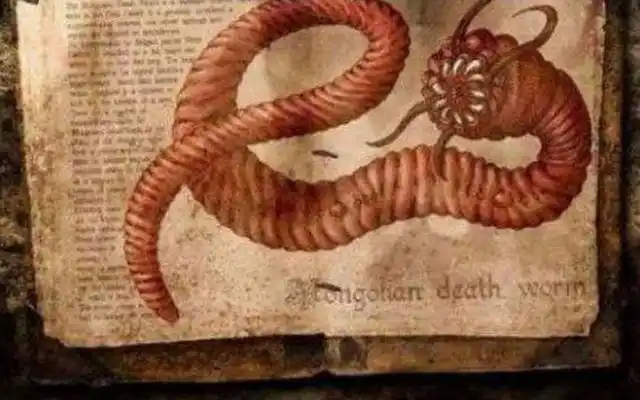 食人蚁吃人的恐怖视频