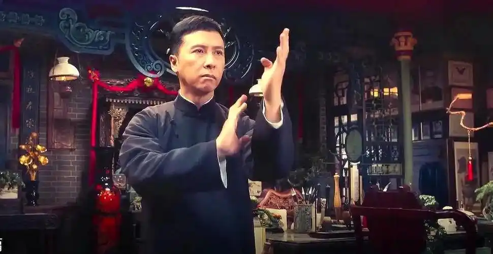 (一部《叶问》,彻底将甄子丹捧上了神坛)一直没能爆火的甄子丹,抓住了