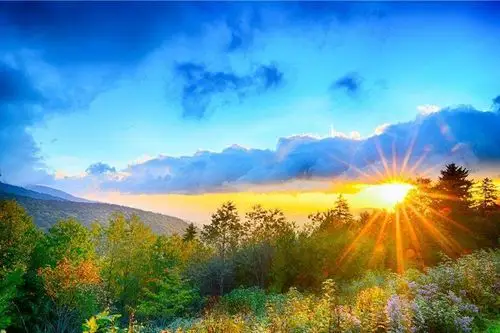 2019年财运大有改观,事业上有突破的生肖