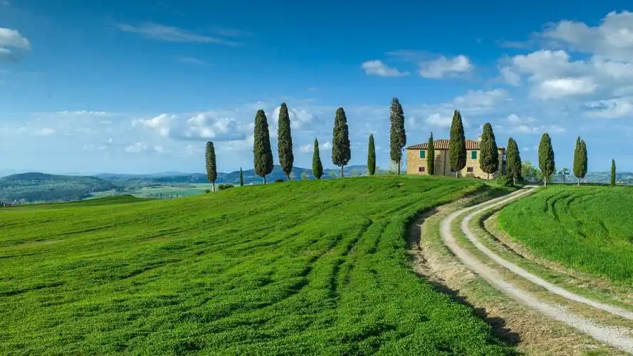 美丽自然绿色风景桌面壁纸