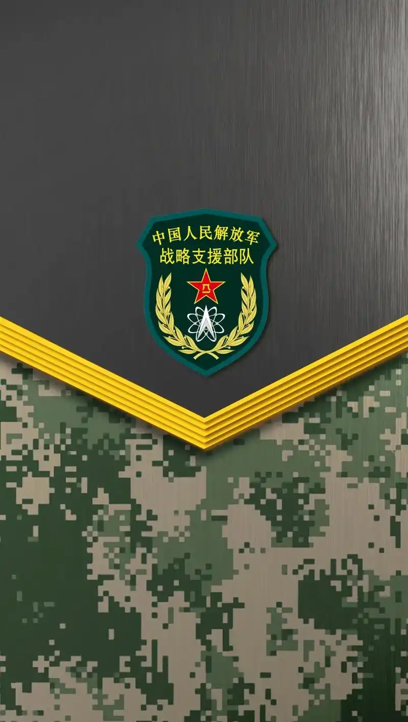 保家卫国!舍小家为大家!#臂章#军旅#无悔青春 - 抖音