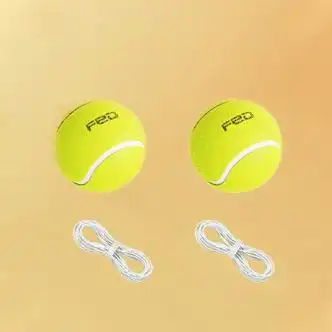 飞尔顿配件飞尔顿网球两个球