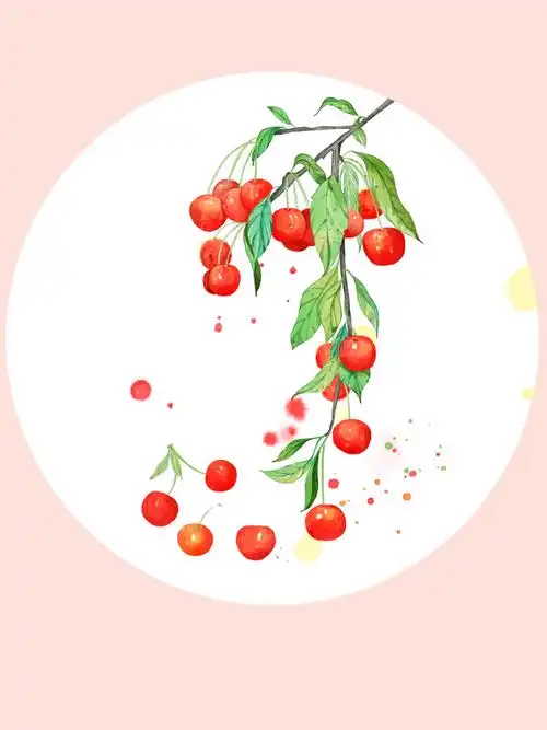 硕果累累之樱桃