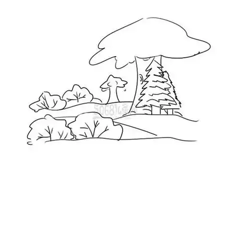 又简单又好看的森林简笔画原创教程步骤大森林简笔画图片大全第1页