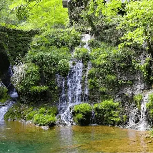 山水仙踪 绿色黟县 | 初夏探寻古村韵味,领略自然之美