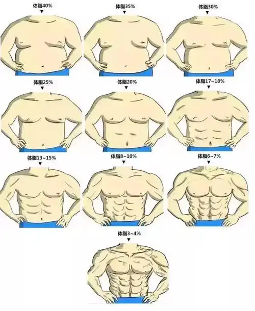 一般情况下男性体脂在15%以下腹肌才能显现,下面是男性体脂率和体型