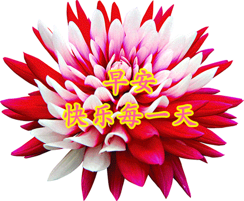 早安暖心语2021最新雪景早上好图片