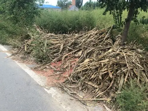 桓台县唐山镇后诸村安全网格员发现路边堆放着大量玉米秸秆,存在安全