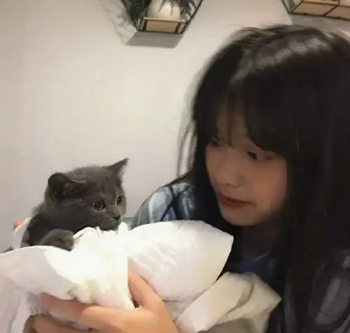 ins微信美女头像图片