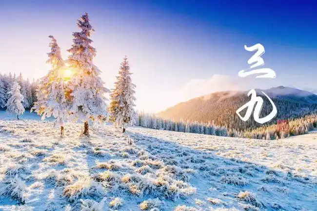 明天进入三九天冷多吃6种助阳食物阳气满满温暖过寒冬