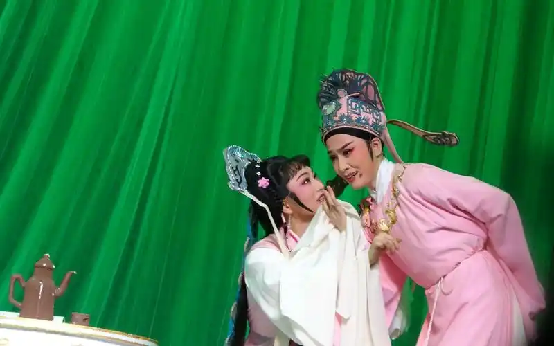 盯妻狂魔王君安