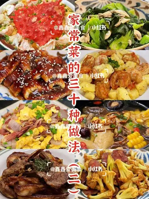 92家常菜的三十种做法二简单可口美味自制