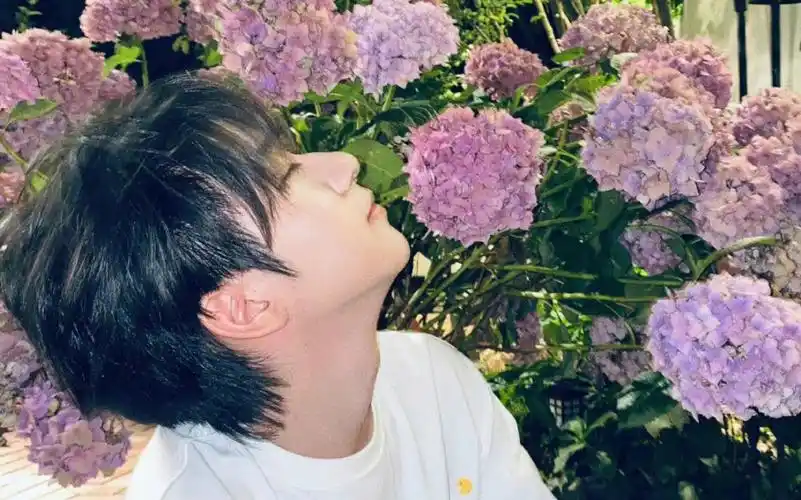 成都小辣椒贺峻霖