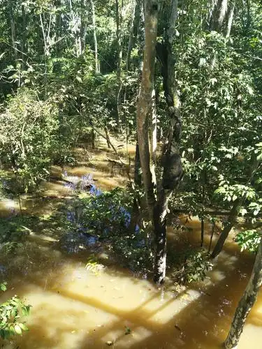 巴西 亚马逊河 热带雨林 原始部落
