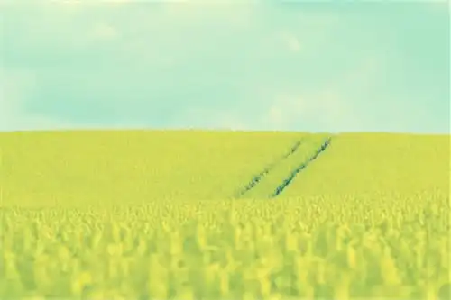 张口就像喊你的名字风景唯美图片