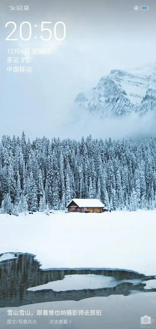 下雪了,鹅毛大雪
