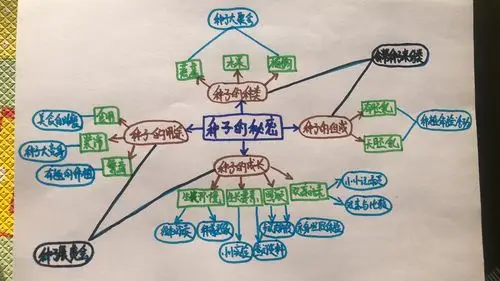 以下为丁元婧老师提供《种子的秘密》主题网络图