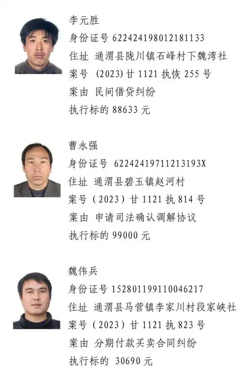 定西通渭县法院关于公布失信被执行人名单的公告_失信名单_中国甘肃网