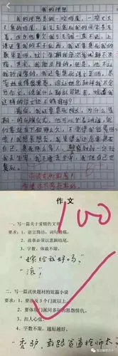 小学生爆红网络作文合集个个都是人才啊