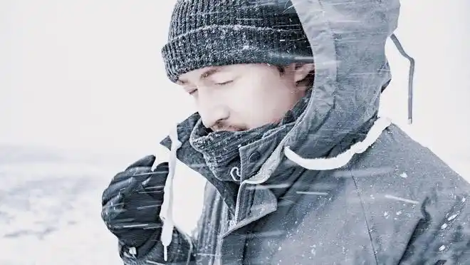 胡歌近照曝光好似雪地里行走的孤狼却被它抢镜网友超帅气