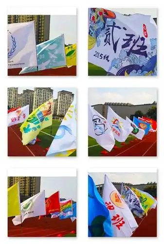 第五届体育节原创班旗评比大赛