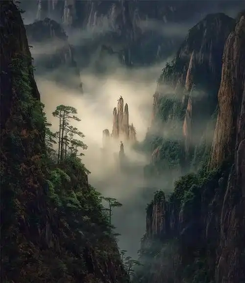 最美的风景图片大全鸟语花香人间仙境图片