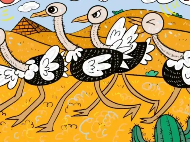 插画画画插画分享插画师原创插画儿童画鸵鸟