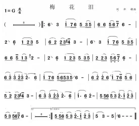 梅花泪笛子简谱g调_民族乐器网