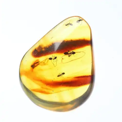 天然琥珀虫珀吊坠项链昆虫标本蜘蛛蚂蚁原石颈饰