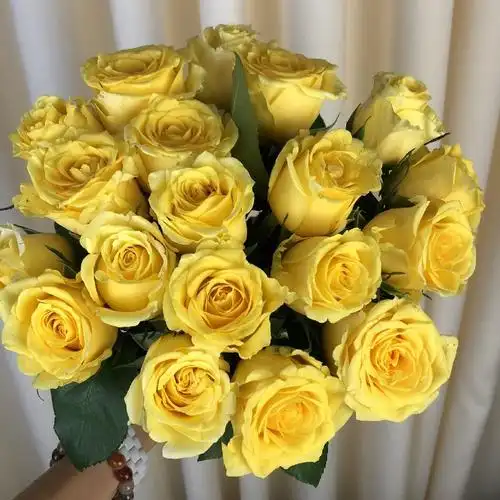 金枝玉叶玫瑰1扎/2扎 一扎20支 冷链包邮 - 拉芙鲜花