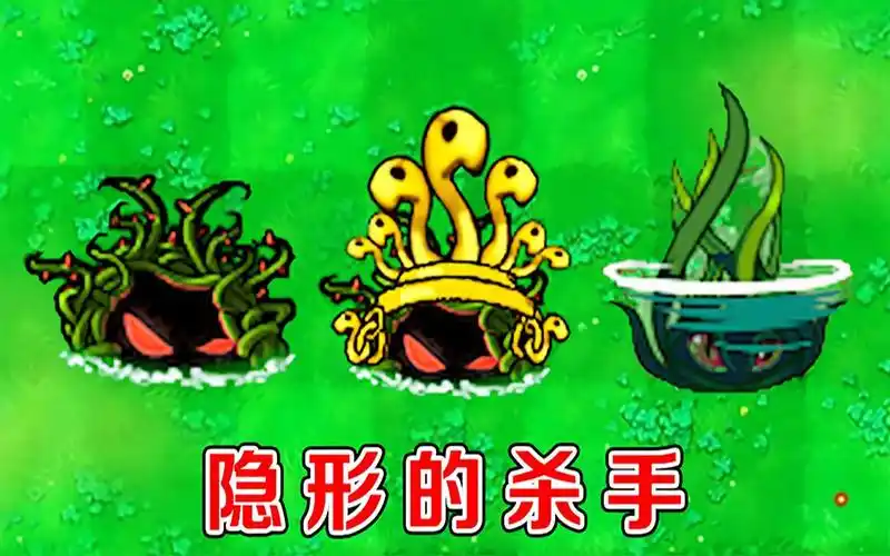 植物大战僵尸不同版本中的缠绕海草有什么区别