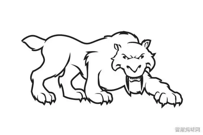 剑齿虎头像动物简笔画步骤图片大全一只霸气的剑齿虎简笔画史前动物