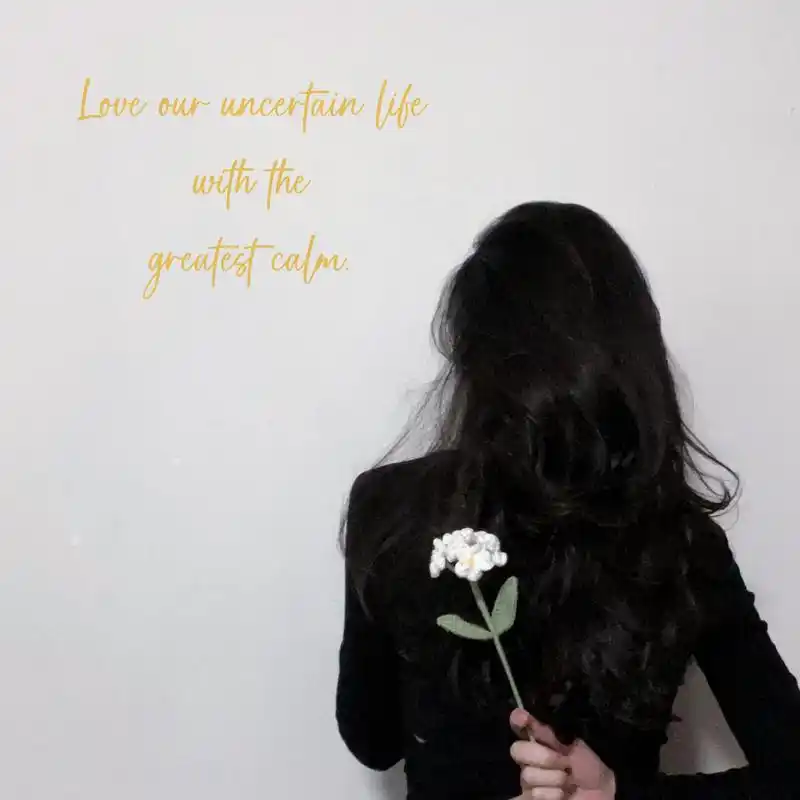 微信头像|高级氛围感头像 以最大的平静,去爱我们不确定的生活 love o