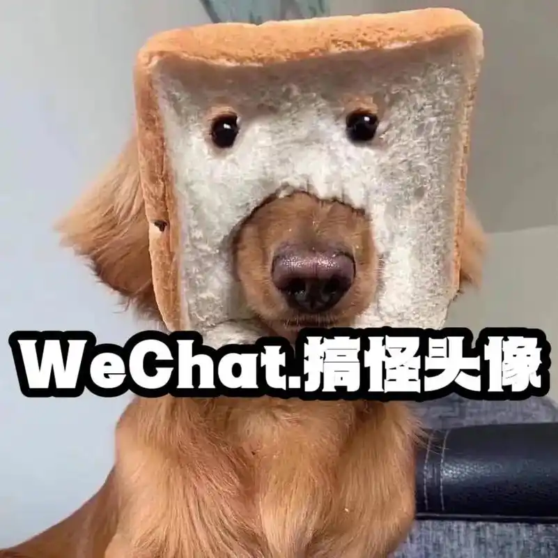 早上多睡五分钟 电动车都能拧冒烟#搞怪头像 #沙雕头像 #一 - 抖音