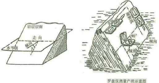 造价工程师辅导地质构造水平构造和单斜构造