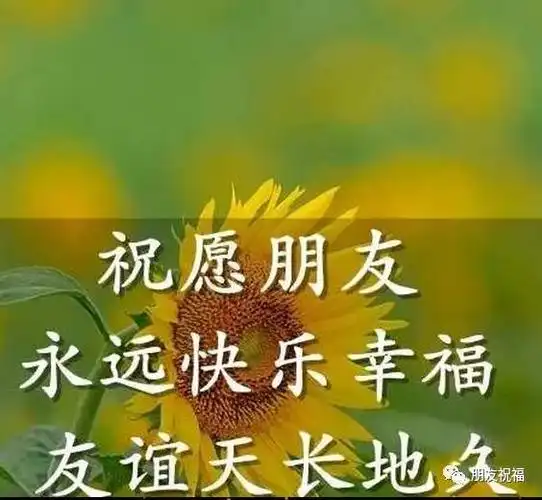 送给我最好的朋友们?打开看看