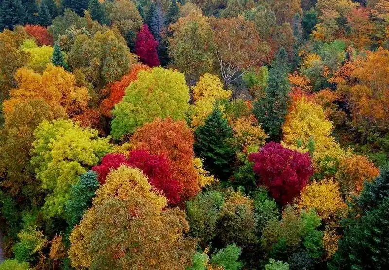 收好这份早秋赏景儿指南!你就可以率先一步绚烂朋友圈了!