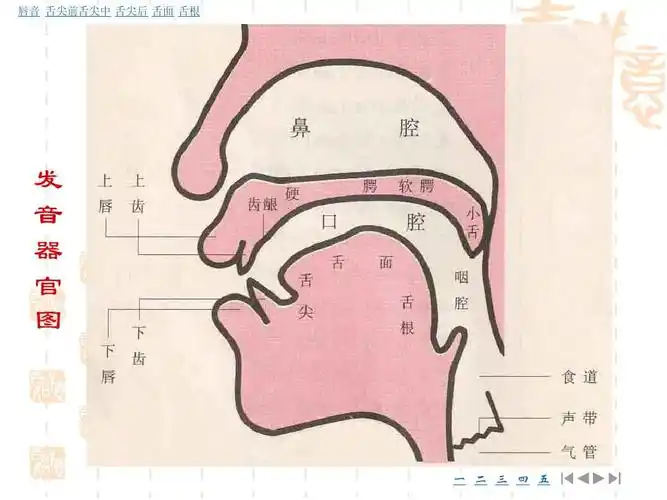 教师口语艺术ppt