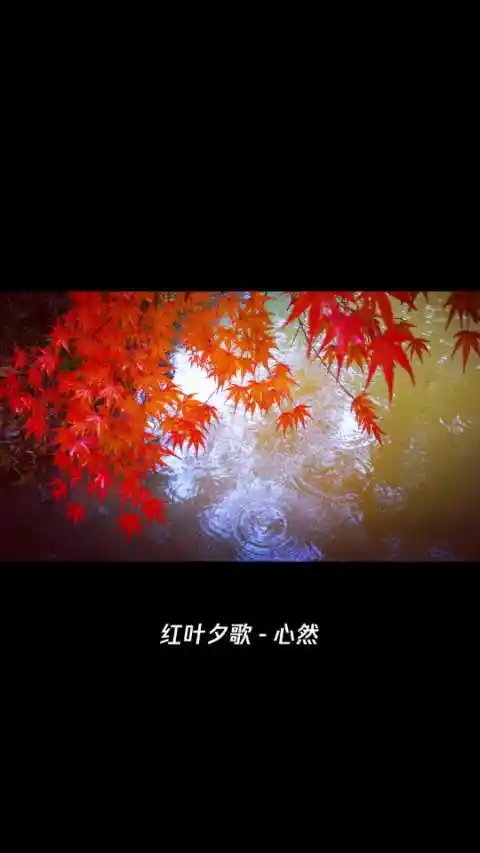 美丽的龙隐山
