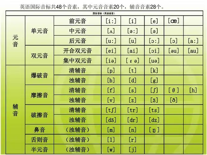 > phonetic symbols英语国际音标共48个音素,其中元音音素20个,辅音