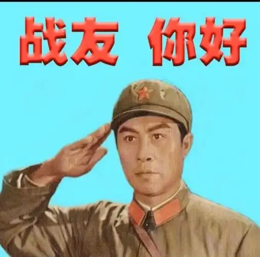 向战友们敬礼!