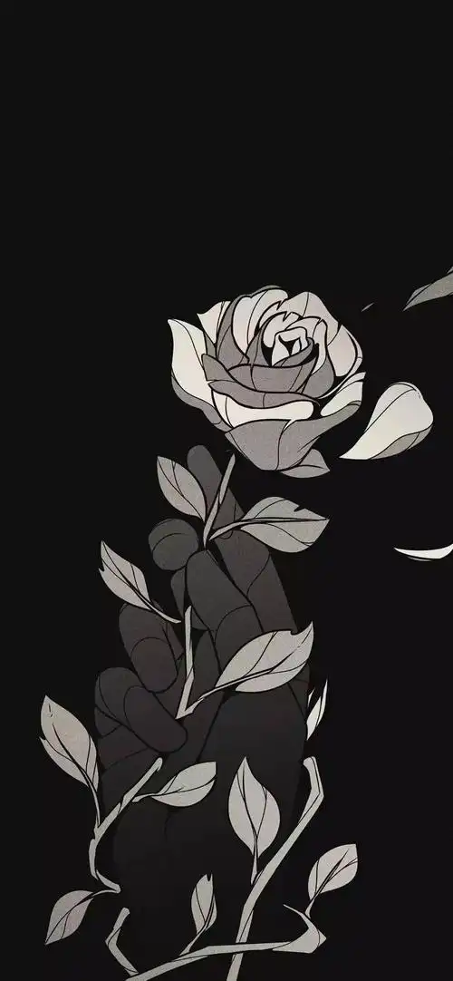 iphone壁纸抖音热门壁纸精选