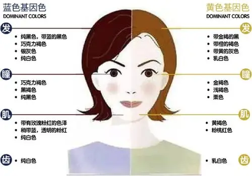 依照亚洲女性的肤色,适合哪些颜色的衣服呢?