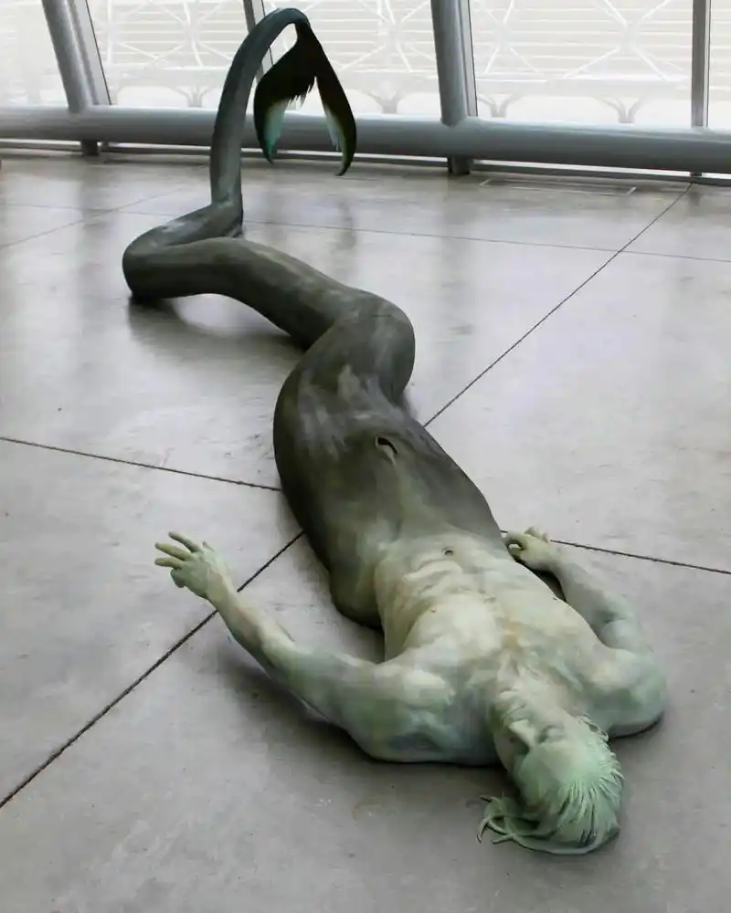 merman."merman"美男鱼 ( deniz erk - 抖音